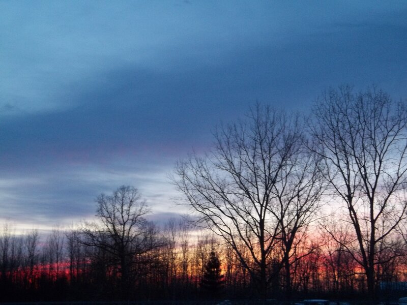 Silhouetted Trees at Sunset — Blue, Serene, Photograph, Sky