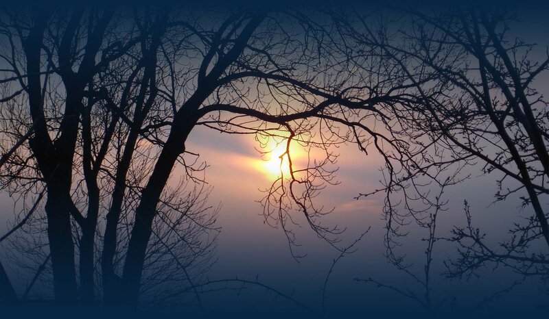 Silhouetted Trees at Sunset — Blue, Serene, Photograph, Sun, Sky, Branches