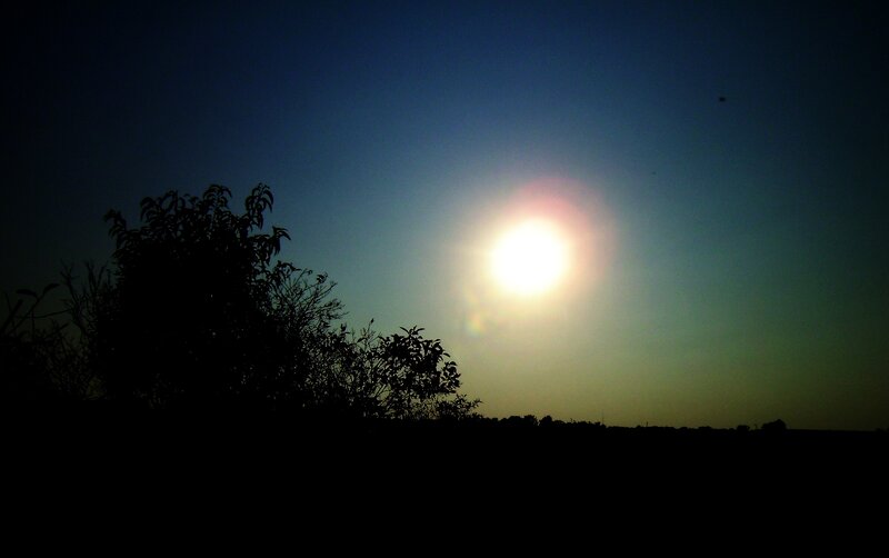 Silhouetted Trees at Sunset — Blue, Serene, Photograph, Sun, Sky