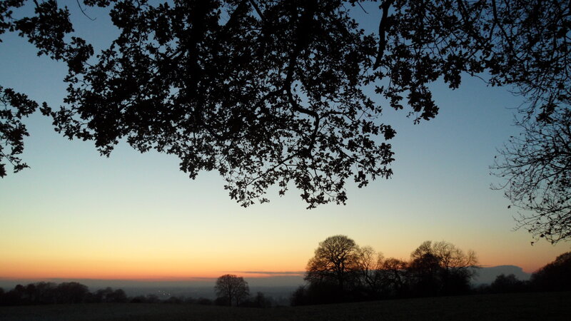 Silhouetted Trees at Sunset — Blue, Serene, Photograph