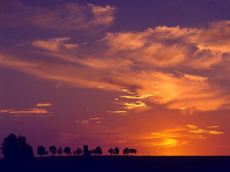 Silhouetted Trees at Sunset — Clouds, Purple