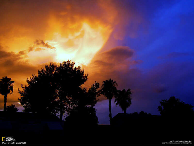 Silhouetted Trees at Sunset — Clouds, Sky