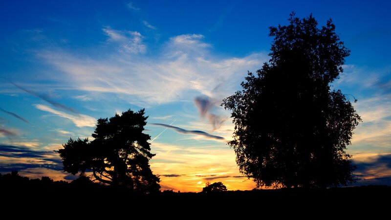 Silhouetted Trees at Sunset — Clouds