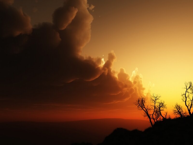 Silhouetted Trees at Sunset — Digital Art