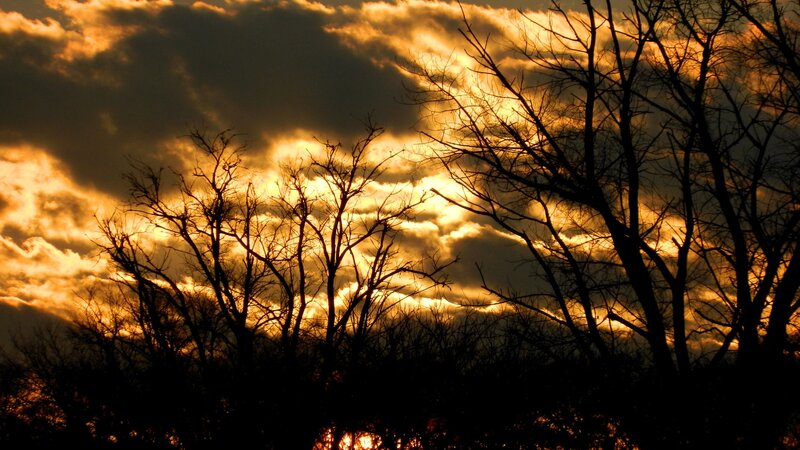 Silhouetted Trees at Sunset — Dramatic, Clouds