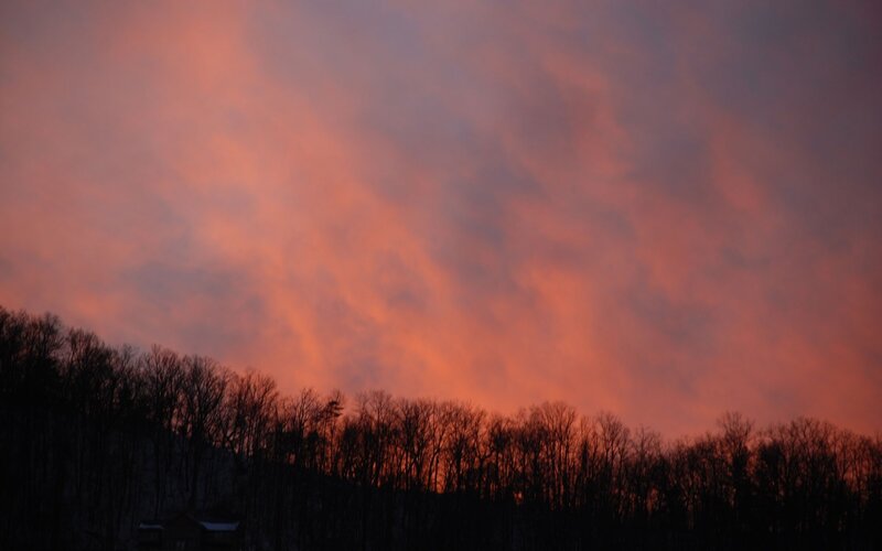 Silhouetted Trees at Sunset — Dramatic, Purple