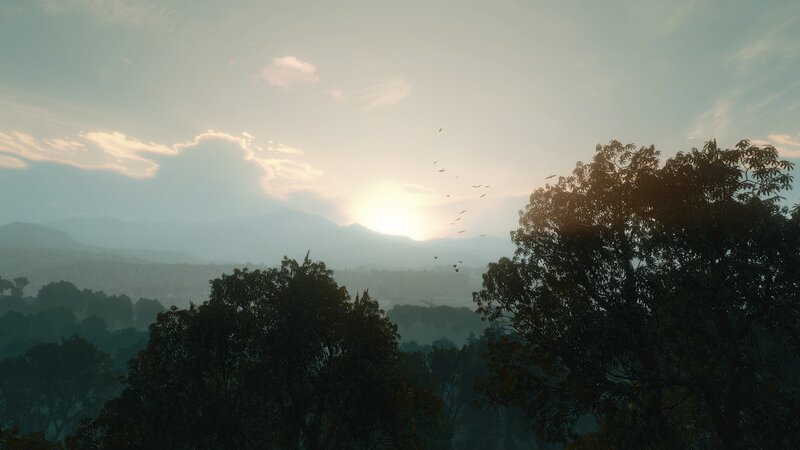 Silhouetted Trees at Sunset — Green, Serene