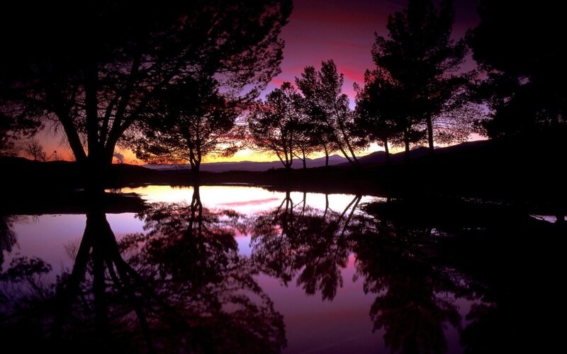 Silhouetted Trees at Sunset — Mountains
