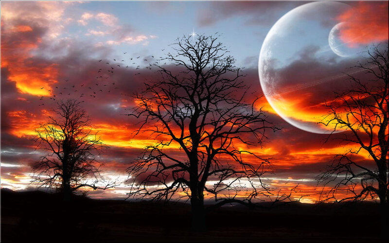 Silhouetted Trees at Sunset — Orange, Dramatic, Digital Art, Moon