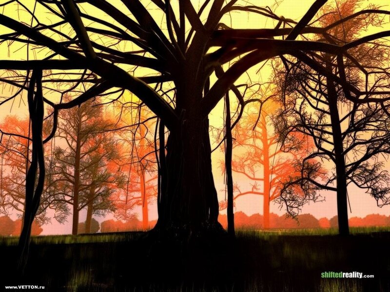 Silhouetted Trees at Sunset — Orange, Dramatic, Digital Art, Sky, Grass