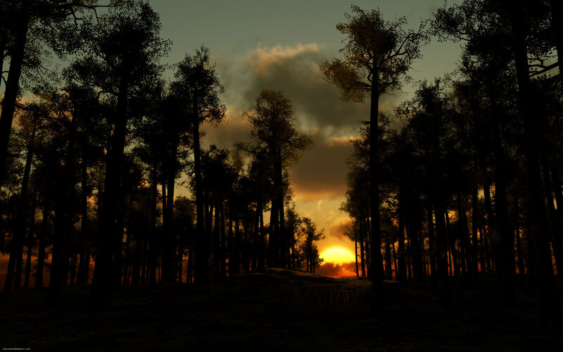 Silhouetted Trees at Sunset — Orange, Dramatic, Digital Art, Sun