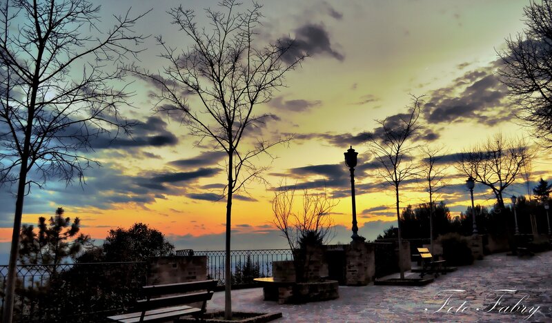 Silhouetted Trees at Sunset — Orange, Dramatic, Photograph, Benches