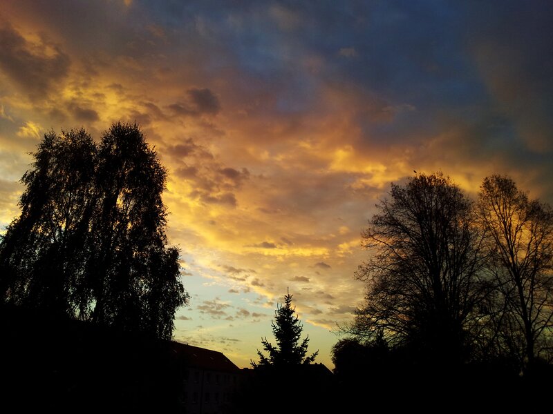 Silhouetted Trees at Sunset — Orange, Dramatic, Photograph, Clouds, Building