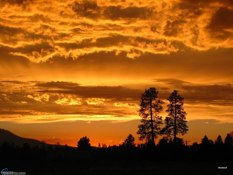 Silhouetted Trees at Sunset — Orange, Dramatic, Photograph, Clouds, Mountain