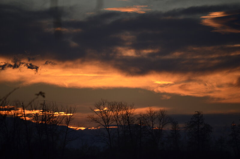 Silhouetted Trees at Sunset — Orange, Dramatic, Photograph, Clouds, Mountains, Power Lines