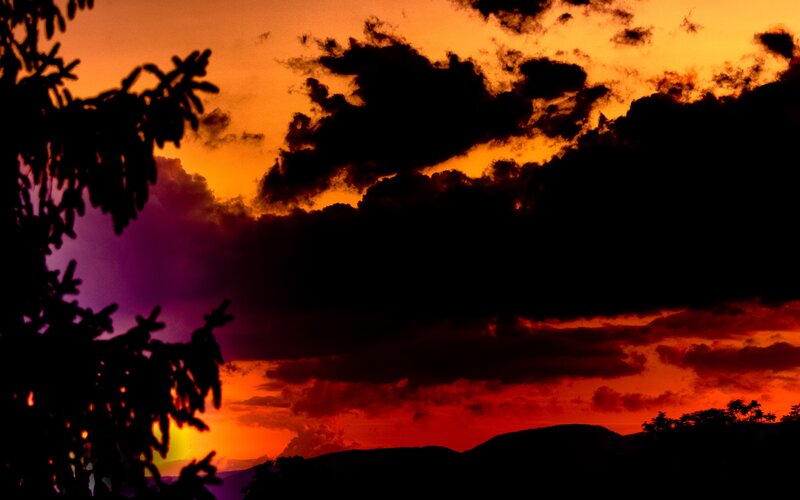 Silhouetted Trees at Sunset — Orange, Dramatic, Photograph, Clouds, Mountains