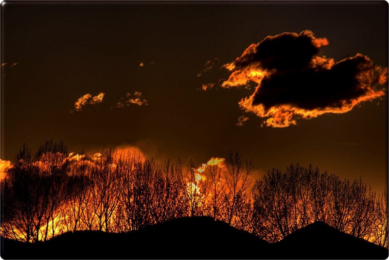Silhouetted Trees at Sunset — Orange, Dramatic, Photograph, Clouds, Sky, Black, Dark Brown