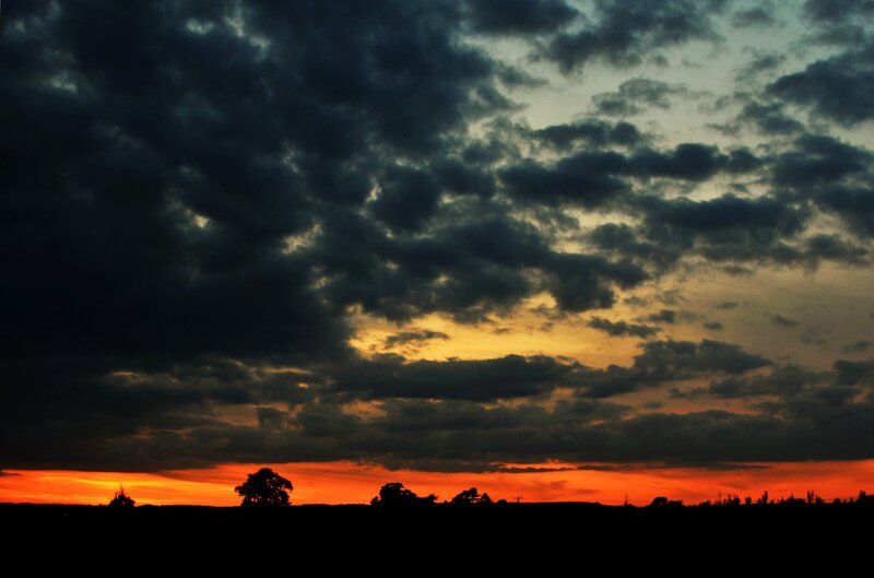 Silhouetted Trees at Sunset — Orange, Dramatic, Photograph, Clouds, Sky, Horizon