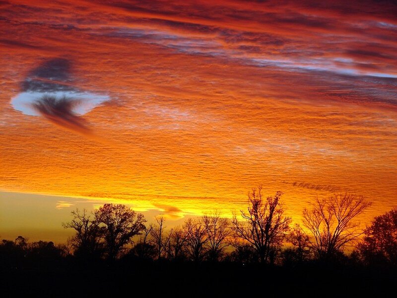 Silhouetted Trees at Sunset — Orange, Dramatic, Photograph, Clouds, Sky