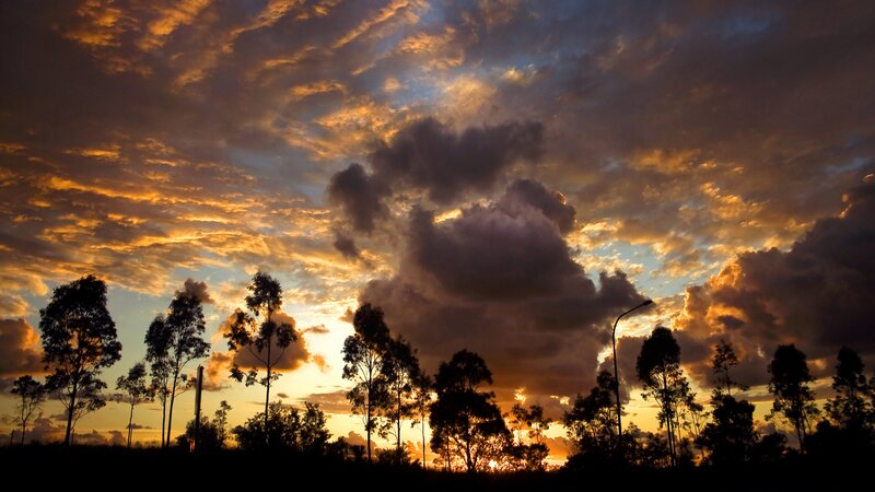 Silhouetted Trees at Sunset — Orange, Dramatic, Photograph, Clouds, Street Light