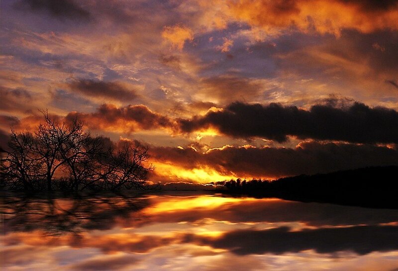 Silhouetted Trees at Sunset — Orange, Dramatic, Photograph, Clouds