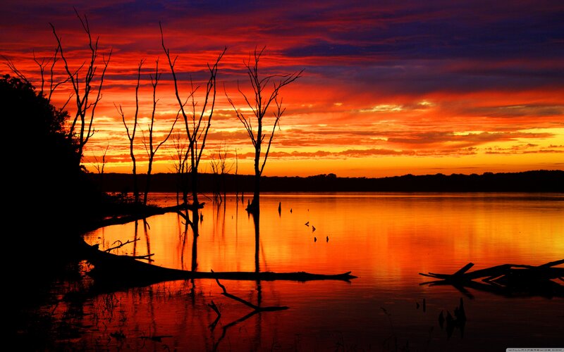 Silhouetted Trees at Sunset — Orange, Dramatic, Photograph, Lake, Sky