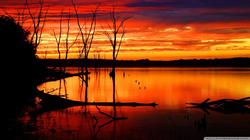 Silhouetted Trees at Sunset — Orange, Dramatic, Photograph, Lake