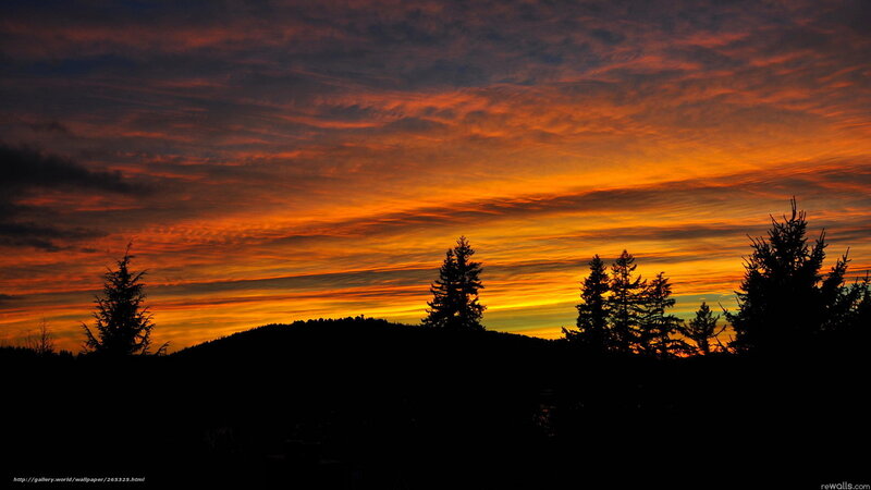 Silhouetted Trees at Sunset — Orange, Dramatic, Photograph, Mountain