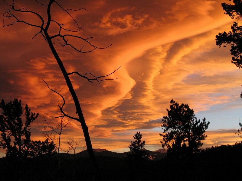 Silhouetted Trees at Sunset — Orange, Dramatic, Photograph, Mountains, Clouds, Sky