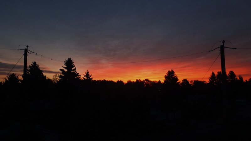 Silhouetted Trees at Sunset — Orange, Dramatic, Photograph, Power Lines, Sky