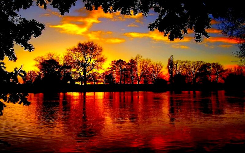 Silhouetted Trees at Sunset — Orange, Dramatic, Photograph, River, Sky