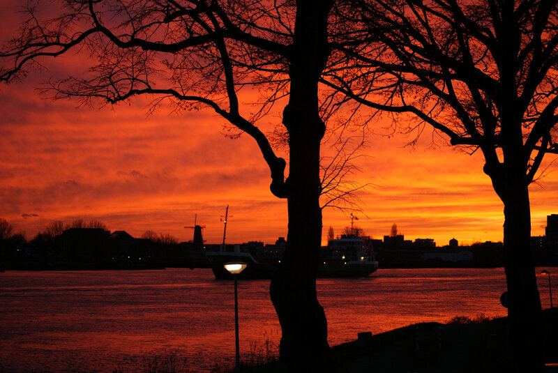 Silhouetted Trees at Sunset — Orange, Dramatic, Photograph, River