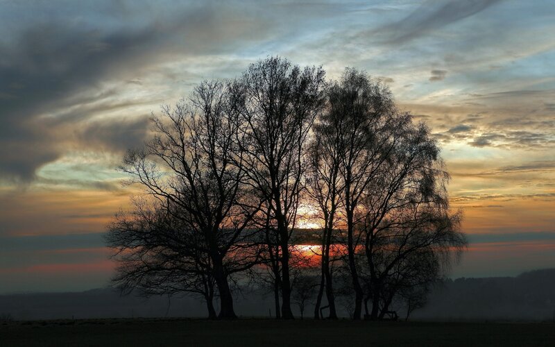Silhouetted Trees at Sunset — Orange, Dramatic, Photograph, Sky, Clouds, Hills