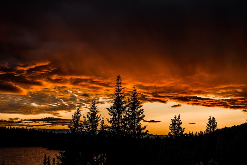 Silhouetted Trees at Sunset — Orange, Dramatic, Photograph, Sky, Clouds, Lake