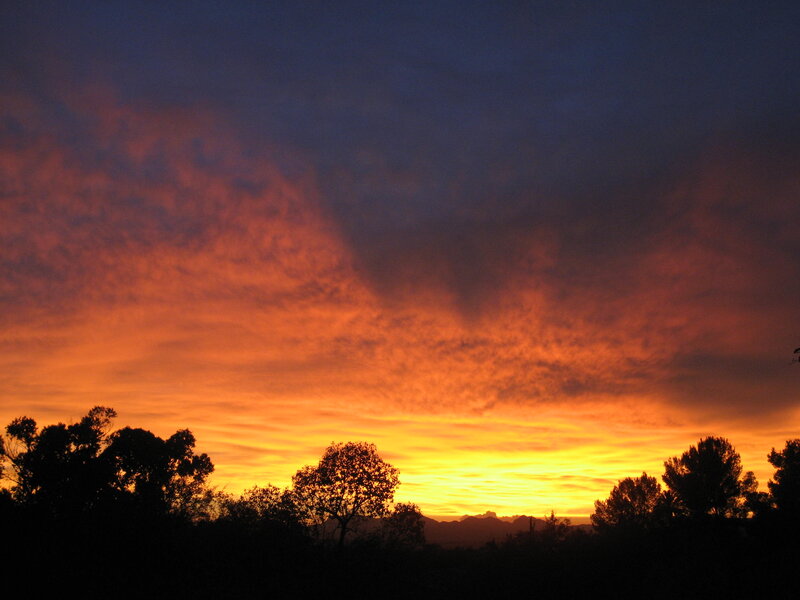 Silhouetted Trees at Sunset — Orange, Dramatic, Photograph, Sky, Clouds, Mountains