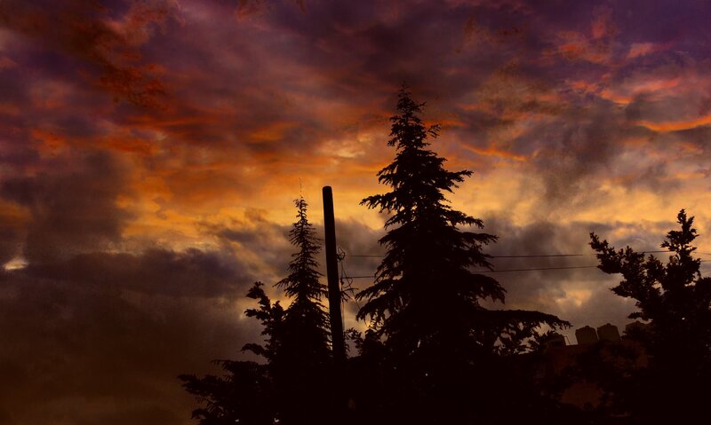 Silhouetted Trees at Sunset — Orange, Dramatic, Photograph, Sky, Clouds, Pole