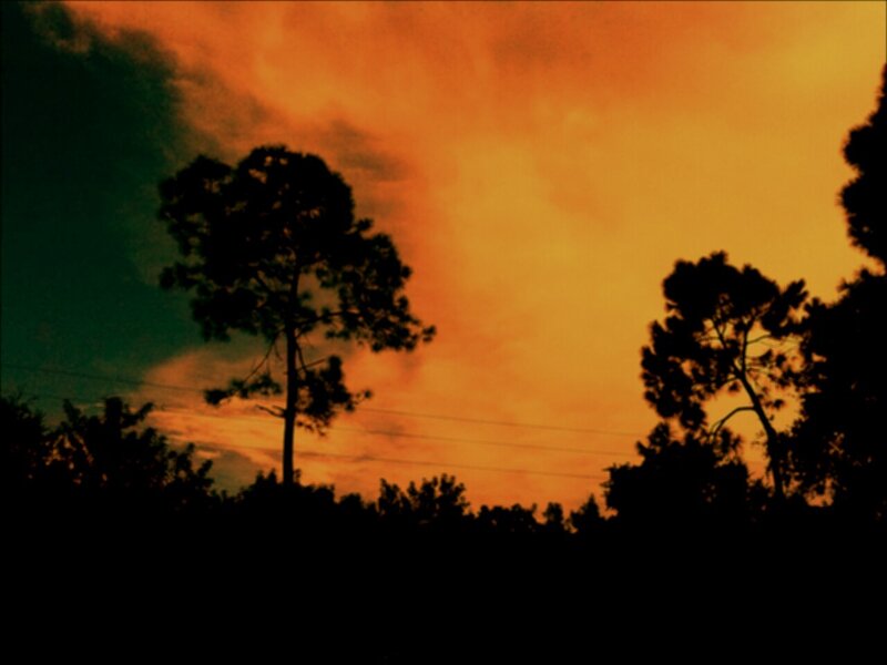 Silhouetted Trees at Sunset — Orange, Dramatic, Photograph, Sky, Clouds, Power Lines, Black