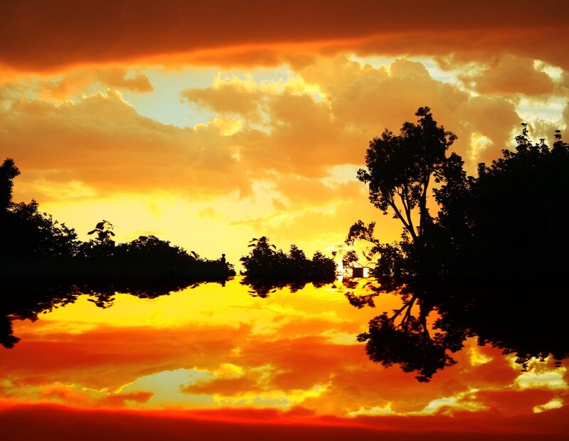 Silhouetted Trees at Sunset — Orange, Dramatic, Photograph, Sky, Clouds, Water