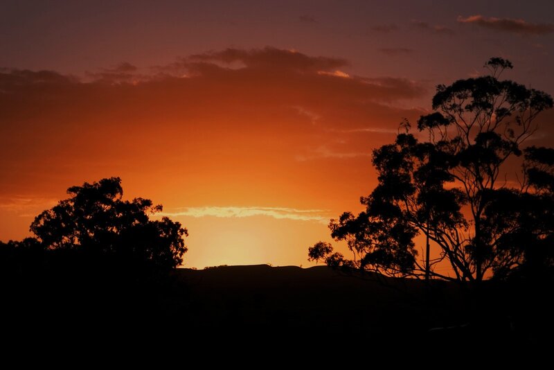 Silhouetted Trees at Sunset — Orange, Dramatic, Photograph, Sky, Hills