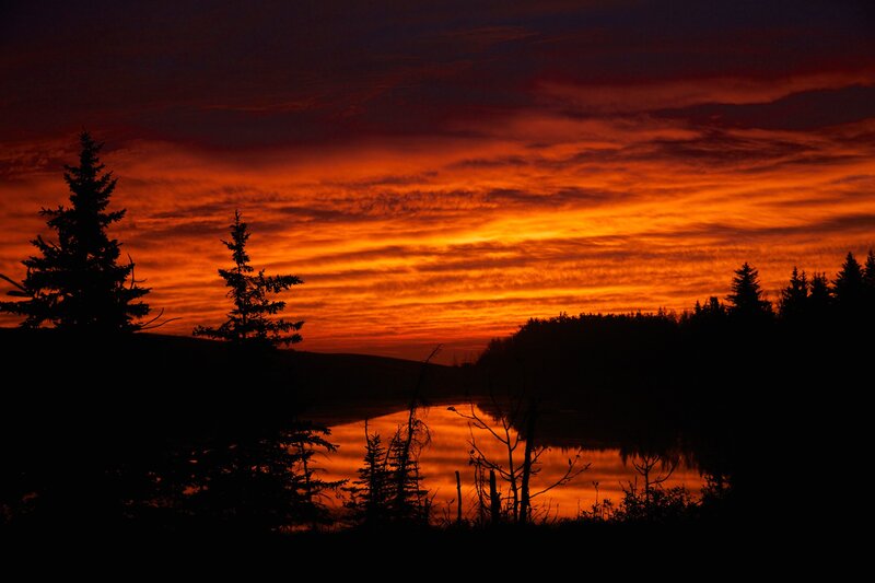 Silhouetted Trees at Sunset — Orange, Dramatic, Photograph, Sky, Lake