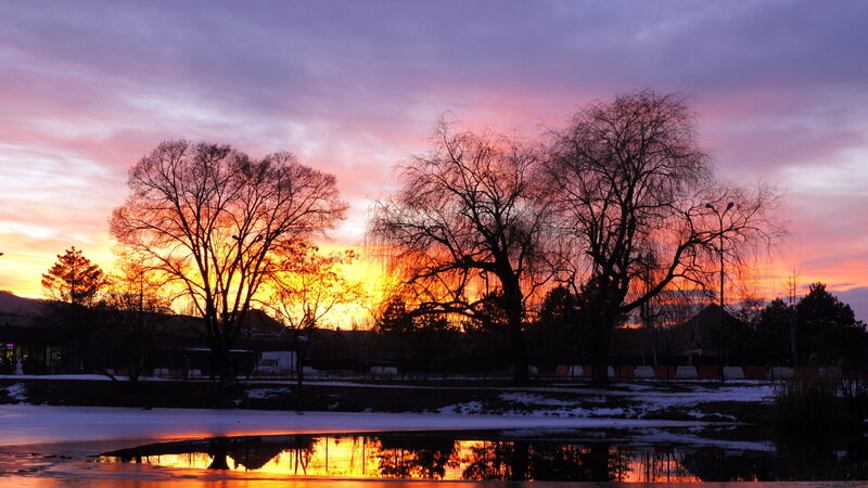 Silhouetted Trees at Sunset — Orange, Dramatic, Photograph, Sky, Pond