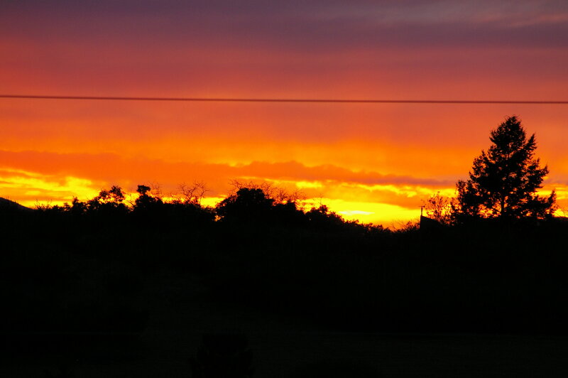Silhouetted Trees at Sunset — Orange, Dramatic, Photograph, Sky, Power Line