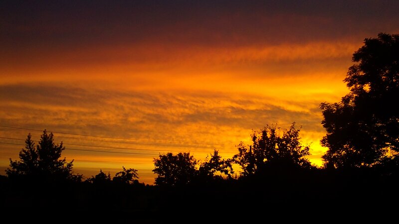 Silhouetted Trees at Sunset — Orange, Dramatic, Photograph, Sky, Power Lines, Yellow