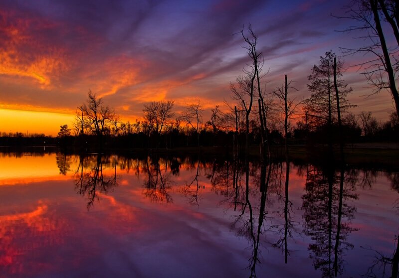Silhouetted Trees at Sunset — Orange, Dramatic, Photograph, Sky, Reflection