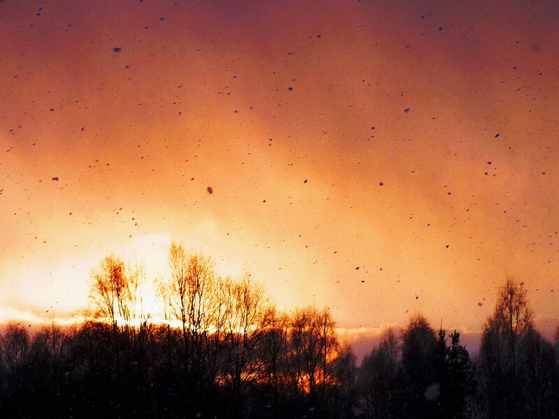 Silhouetted Trees at Sunset — Orange, Dramatic, Photograph, Sky, Snow