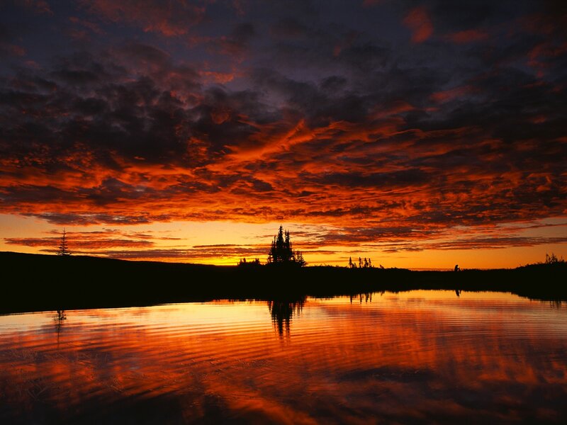 Silhouetted Trees at Sunset — Orange, Dramatic, Photograph, Sky, Water, Red
