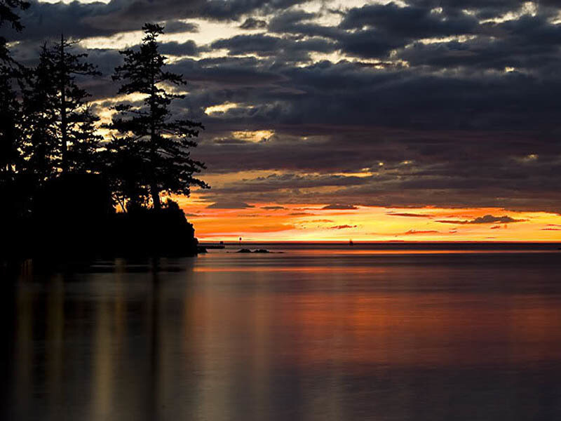 Silhouetted Trees at Sunset — Orange, Dramatic, Photograph, Sky, Water