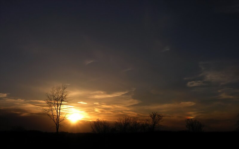 Silhouetted Trees at Sunset — Orange, Dramatic, Photograph, Sun, Clouds, Black, Dark Blue