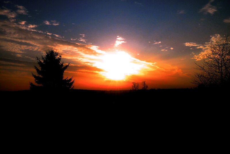 Silhouetted Trees at Sunset — Orange, Dramatic, Photograph, Sun, Clouds, Blue
