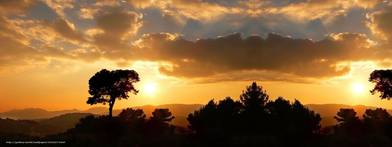 Silhouetted Trees at Sunset — Orange, Dramatic, Photograph, Sun, Clouds, Mountains